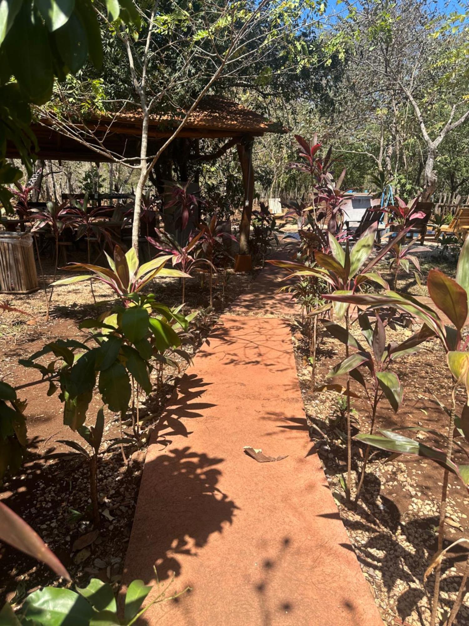 Finca Avellanas Lorena Exterior photo